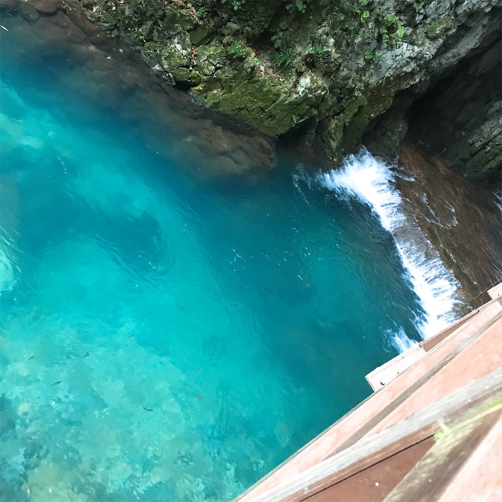 f:id:keeemura:20191016163945j:image f:id:keeemura:20191016163945j:image
