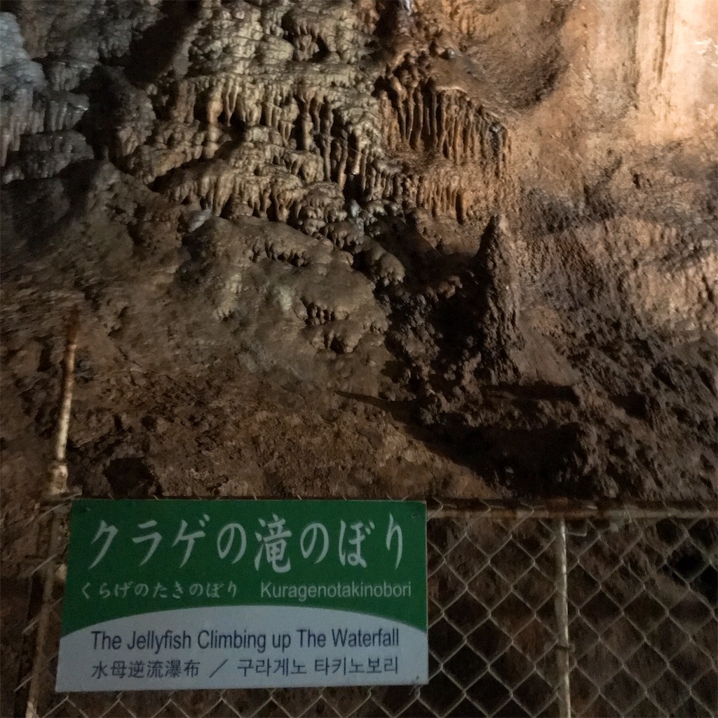 f:id:keeemura:20191016172115j:image f:id:keeemura:20191016172115j:image