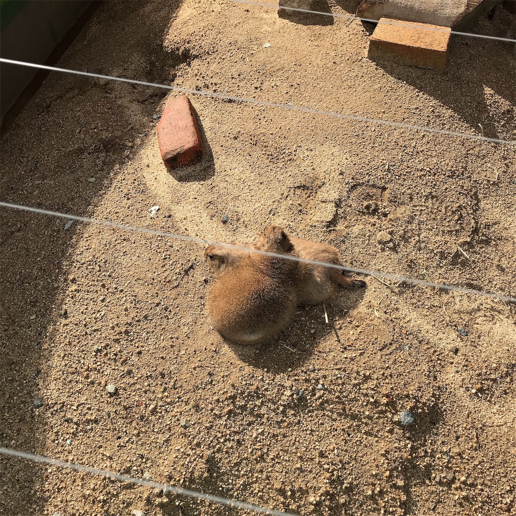 f:id:keeemura:20191105150550j:image f:id:keeemura:20191105150550j:image