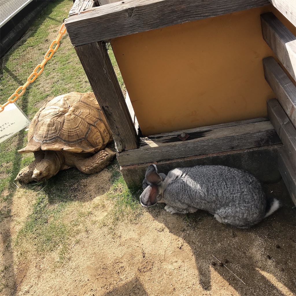 f:id:keeemura:20191105150740j:image f:id:keeemura:20191105150740j:image