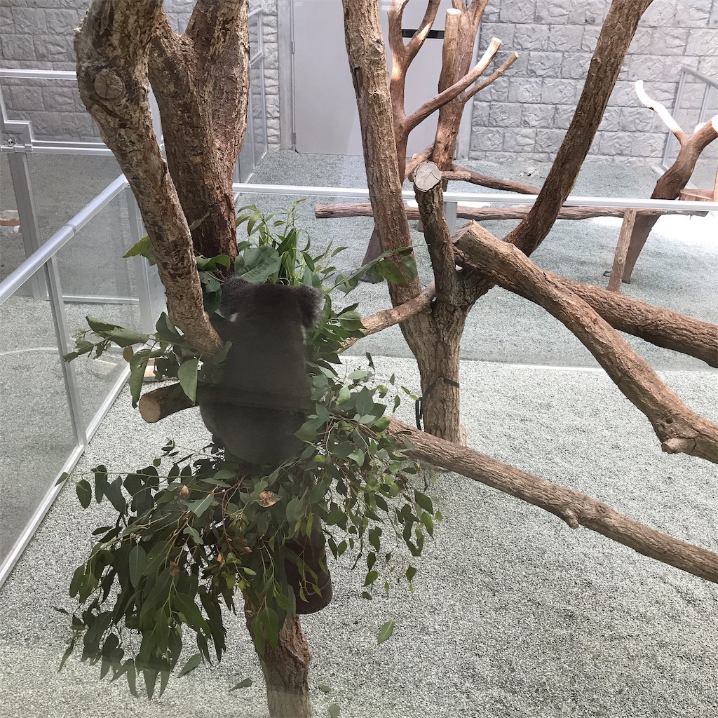 f:id:keeemura:20191105153301j:image f:id:keeemura:20191105153301j:image