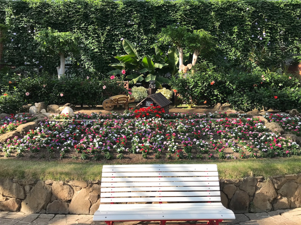 f:id:keeemura:20191105154422j:image f:id:keeemura:20191105154422j:image