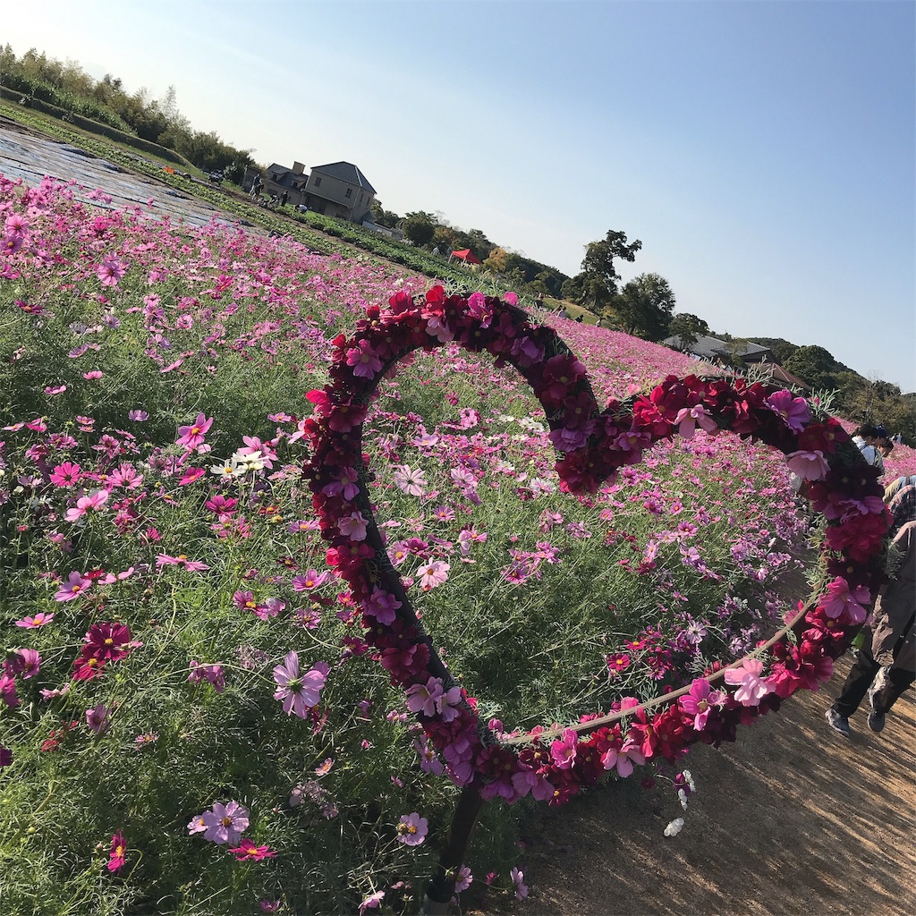 f:id:keeemura:20191105155733j:image f:id:keeemura:20191105155733j:image