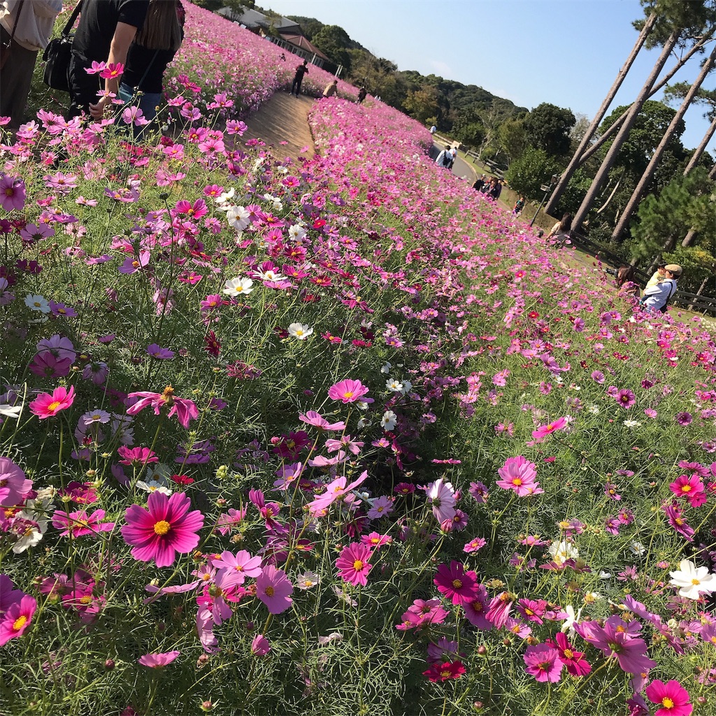 f:id:keeemura:20191105155739j:image f:id:keeemura:20191105155739j:image