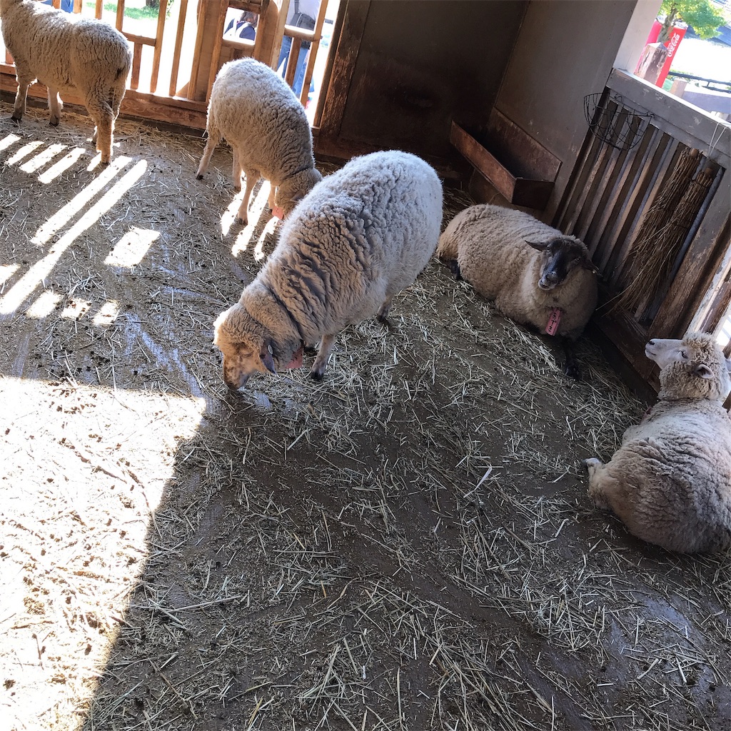 f:id:keeemura:20191105160729j:image f:id:keeemura:20191105160729j:image