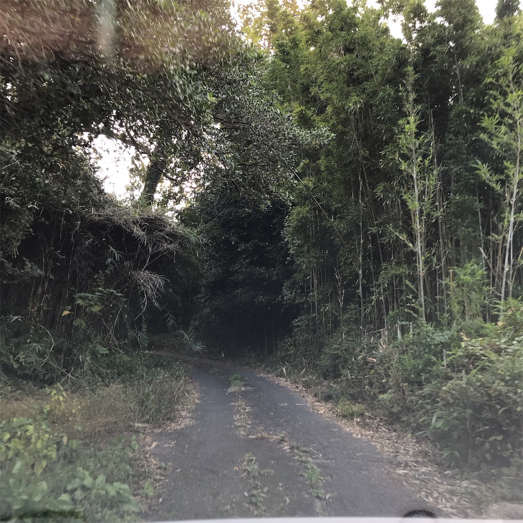 f:id:keeemura:20191116161922j:image