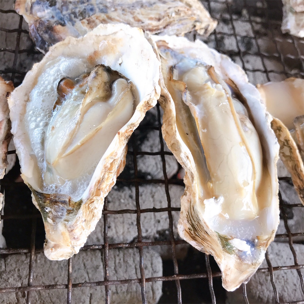 f:id:keeemura:20191125173949j:image f:id:keeemura:20191125173949j:image