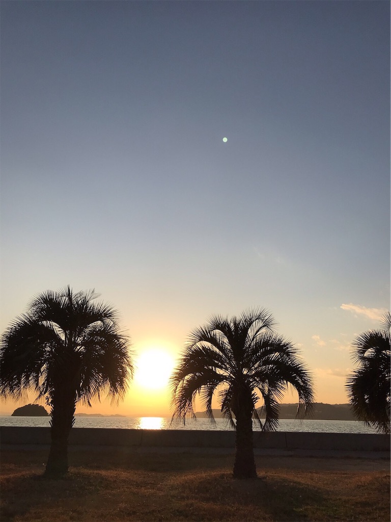 f:id:keeemura:20191204115432j:image f:id:keeemura:20191204115432j:image