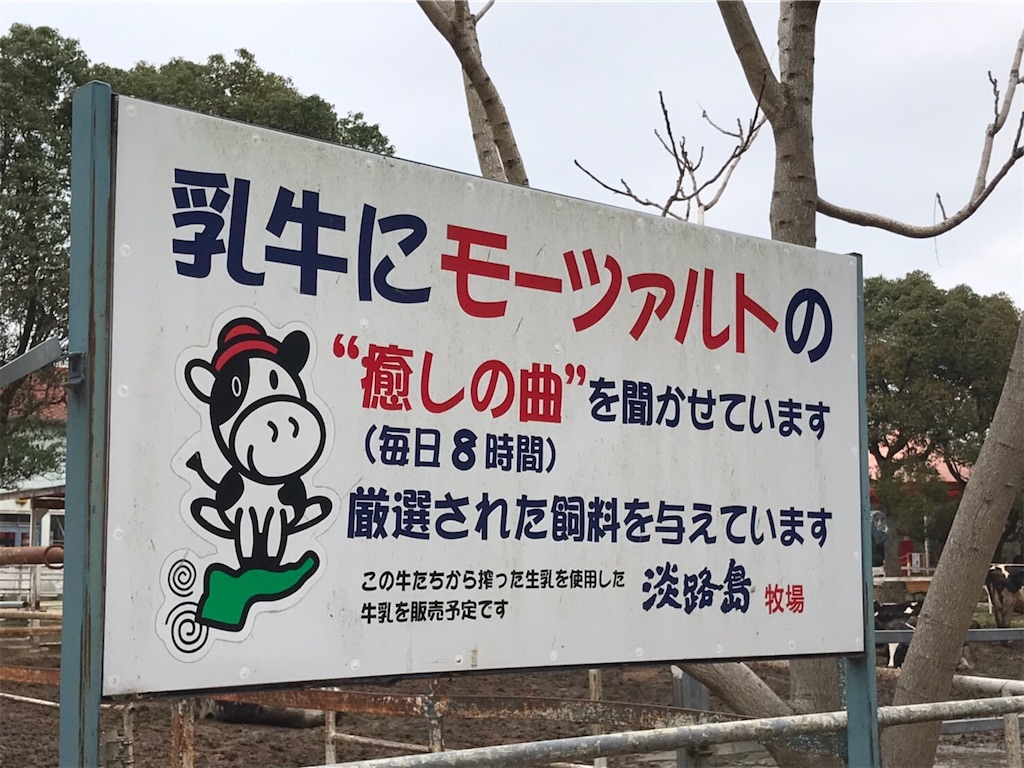f:id:keeemura:20200130120257j:image