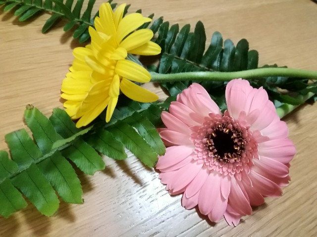 f:id:keefir:20190220122741j:image