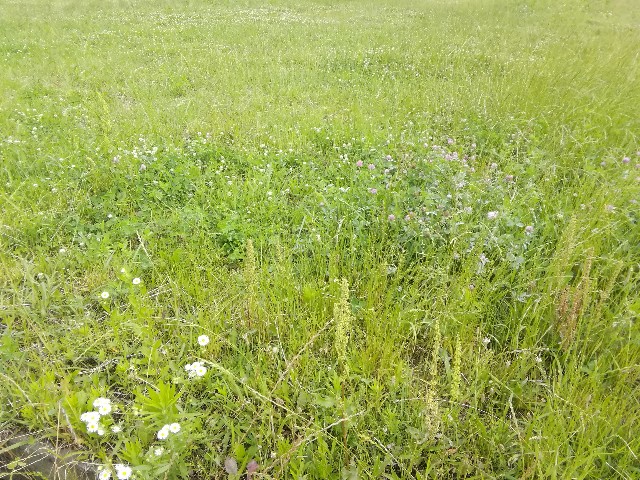 f:id:keefir:20190614155139j:image