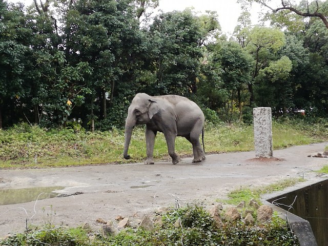 f:id:keefir:20191022151646j:image
