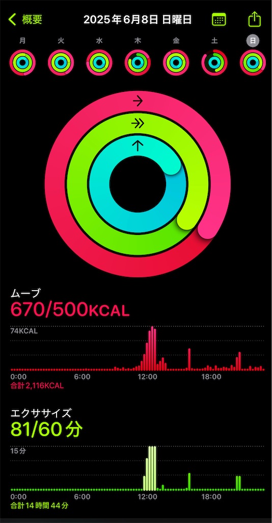 f:id:keefir:20250611140741j:image