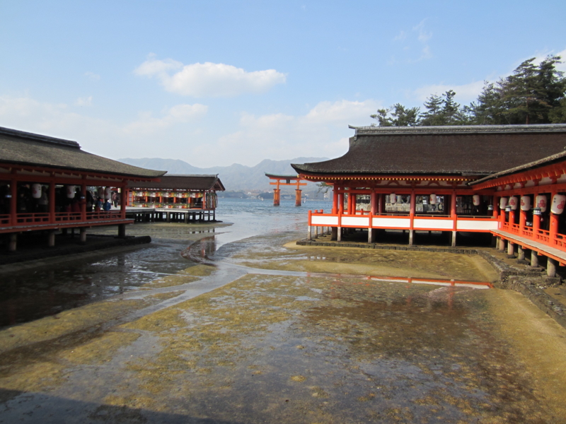 f:id:keekamada:20140101124545j:image:w360