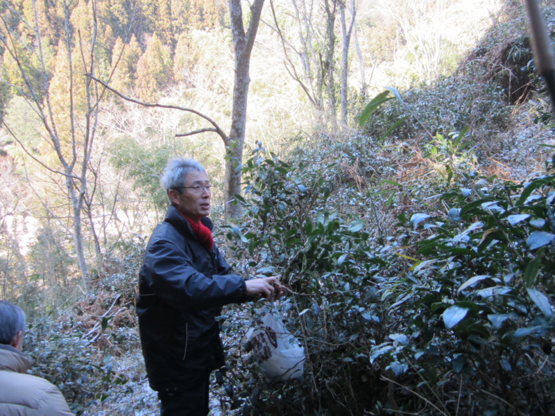 f:id:keekamada:20140119131308j:image:w360