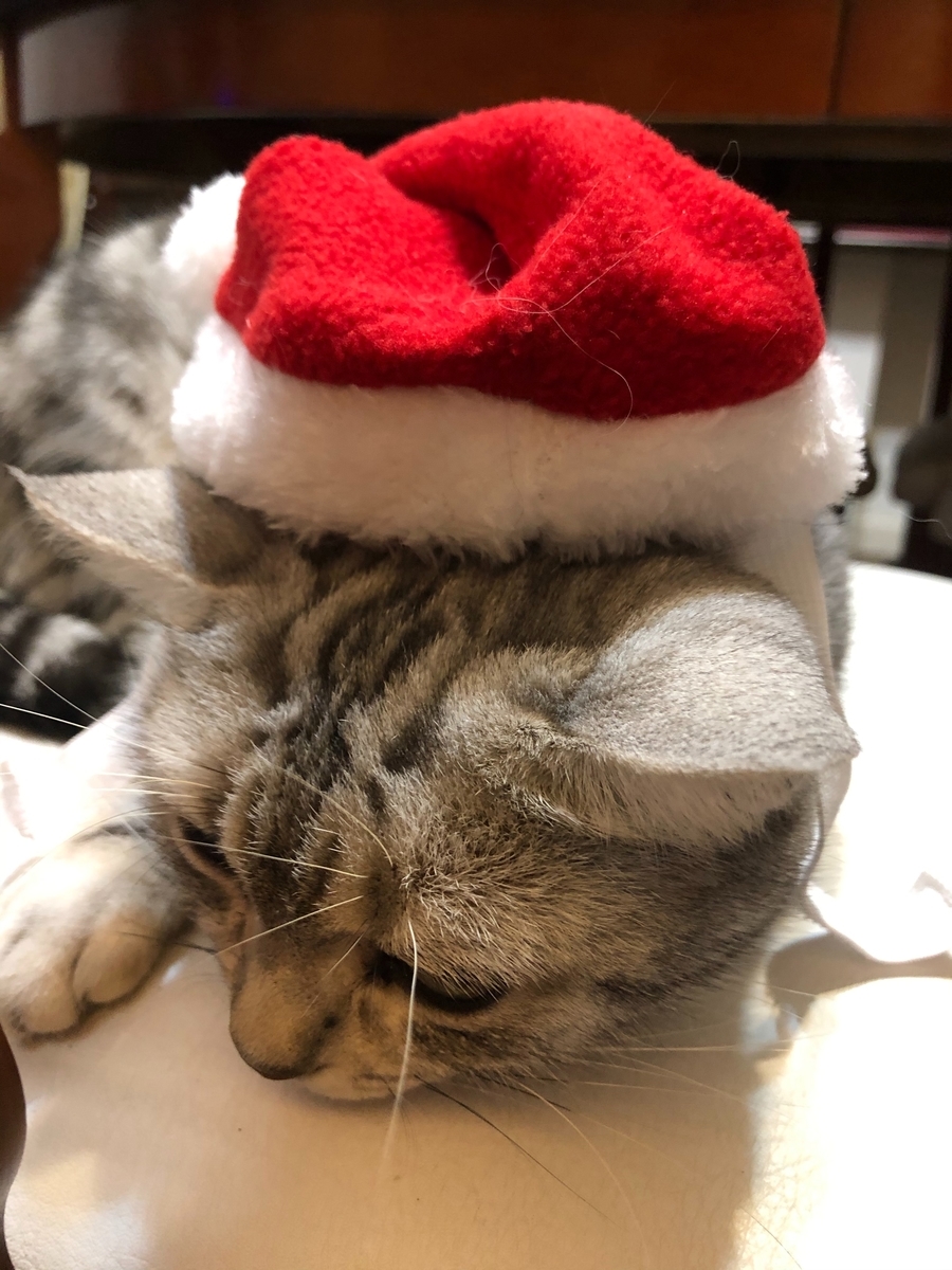 f:id:keekster:20191220212032j:plain