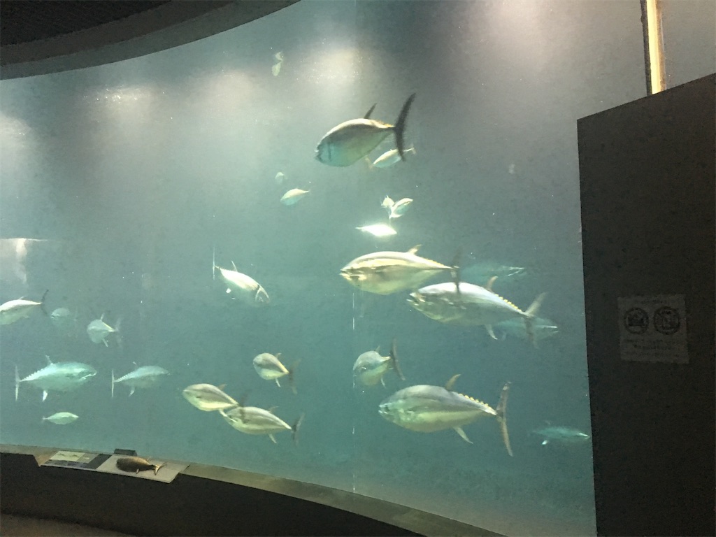 葛西臨海水族園を歩く 公園のきろく