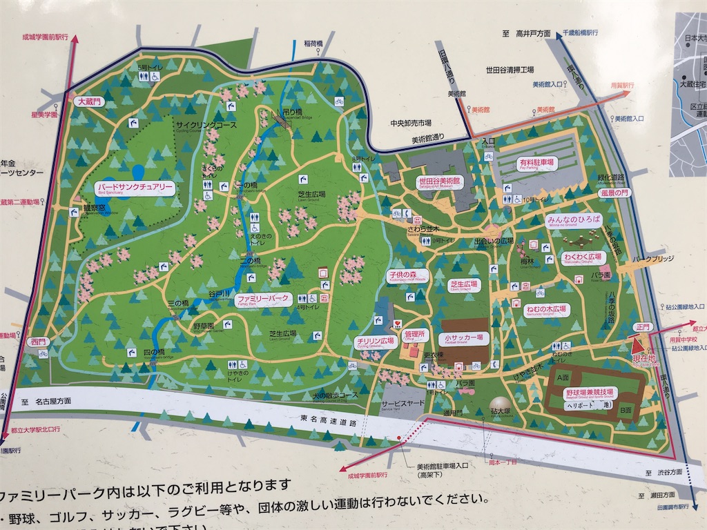 砧公園 ファミリーパークと砧公園の歴史 世田谷ワンダーランド 砧公園 ファミリーパークと砧公園の歴史 世田谷ワンダーランド