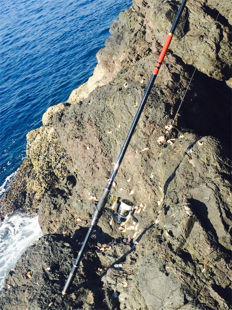 尾鷲の磯釣り All Out Fishing