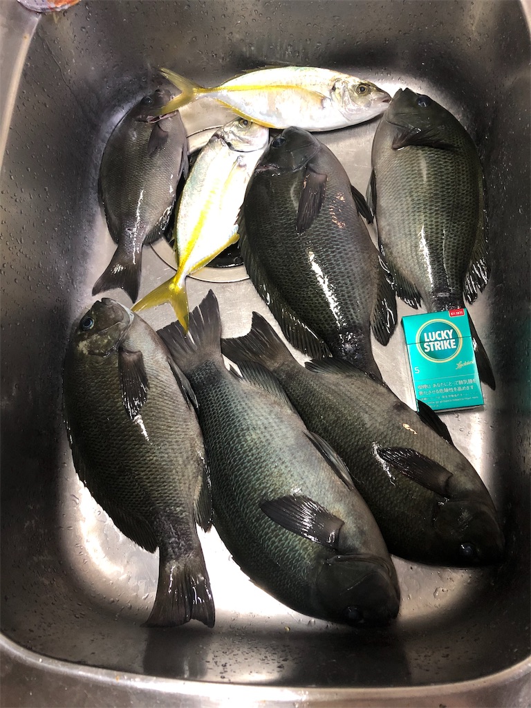 f:id:keep_casting:20191106131513j:image f:id:keep_casting:20191106131513j:image
