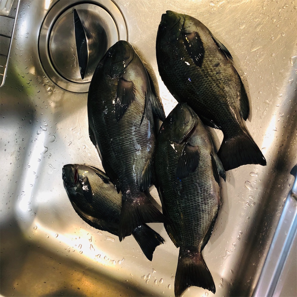 f:id:keep_casting:20191125223017j:image f:id:keep_casting:20191125223017j:image