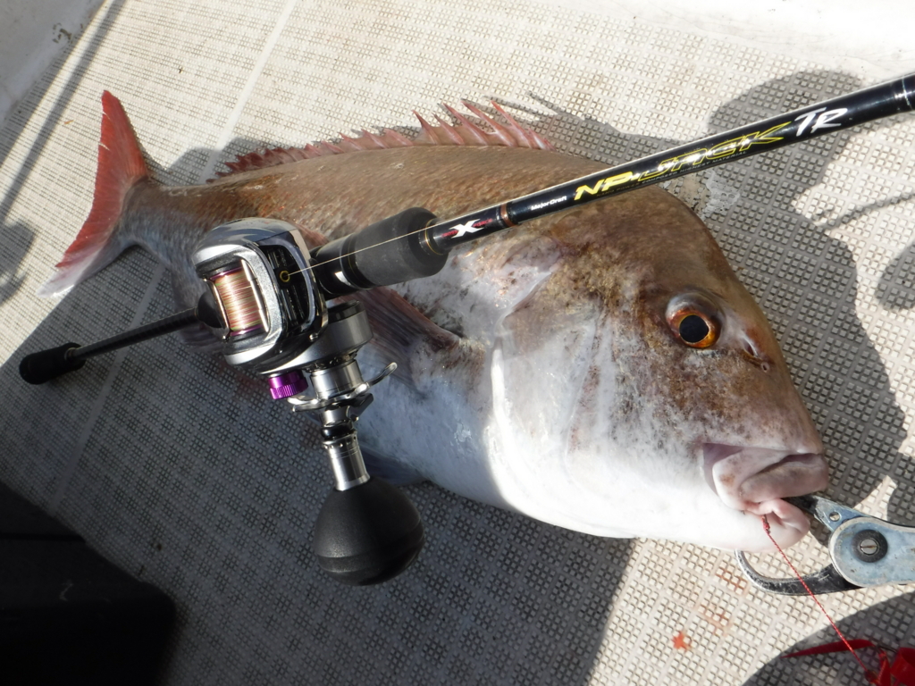 f:id:keepfishing:20161115125438j:plain f:id:keepfishing:20161115125438j:plain