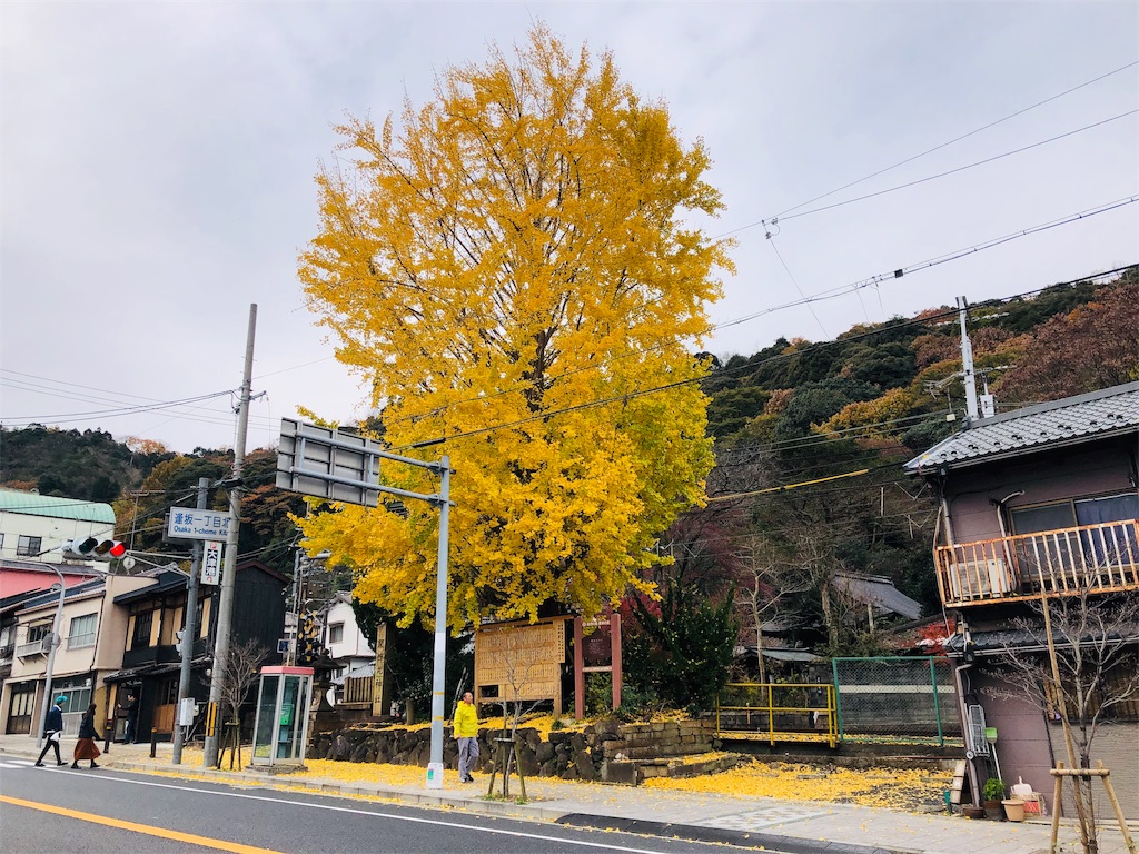 f:id:keephope:20191207234457j:image f:id:keephope:20191207234457j:image