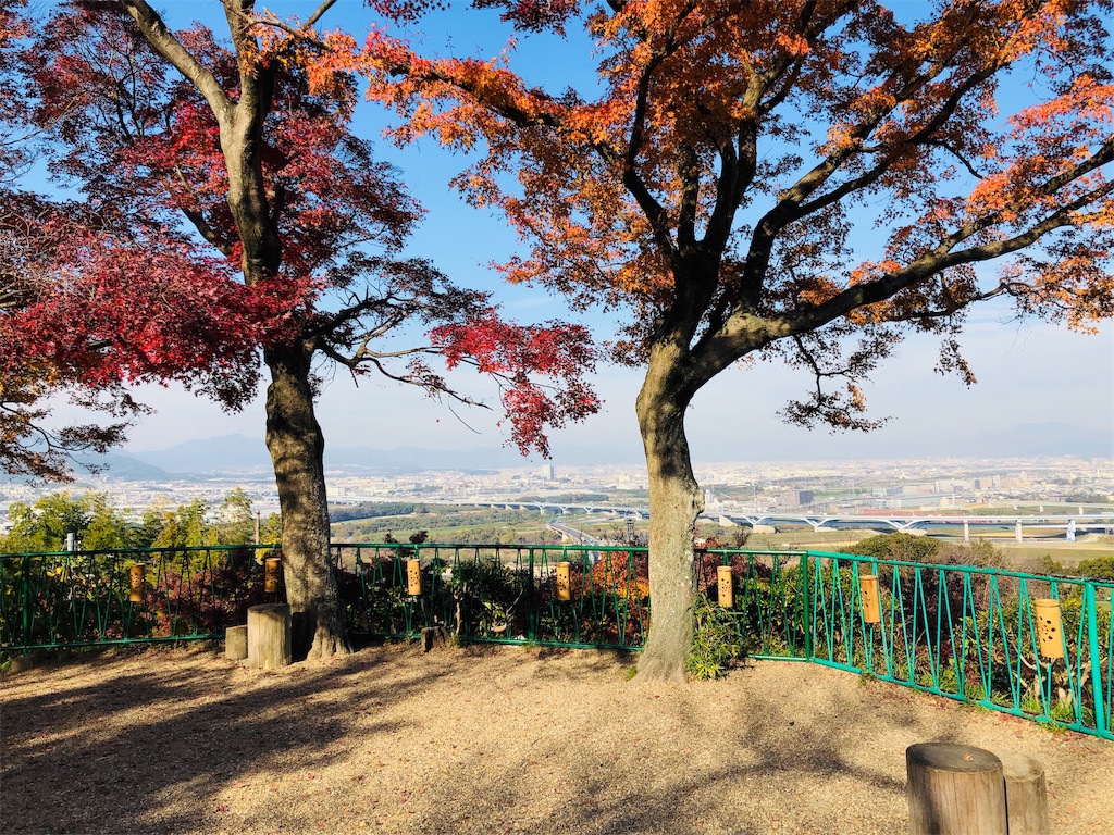 f:id:keephope:20191210192423j:image f:id:keephope:20191210192423j:image