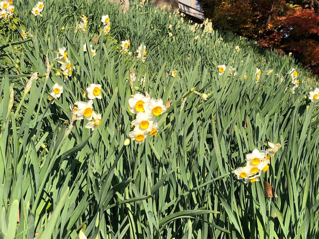f:id:keephope:20191210193855j:image f:id:keephope:20191210193855j:image