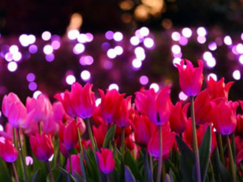 f:id:keepr:20200124165200p:plain f:id:keepr:20200124165200p:plain