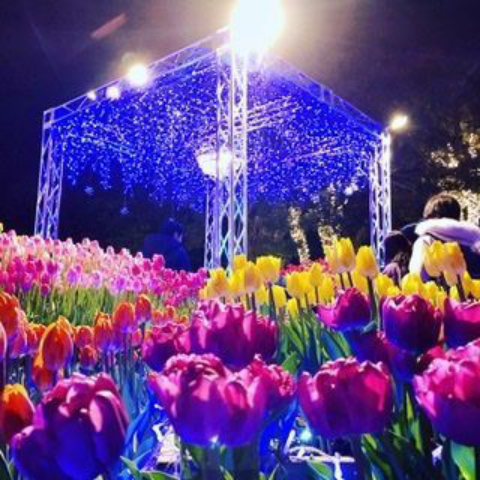f:id:keepr:20200124170236p:plain f:id:keepr:20200124170236p:plain