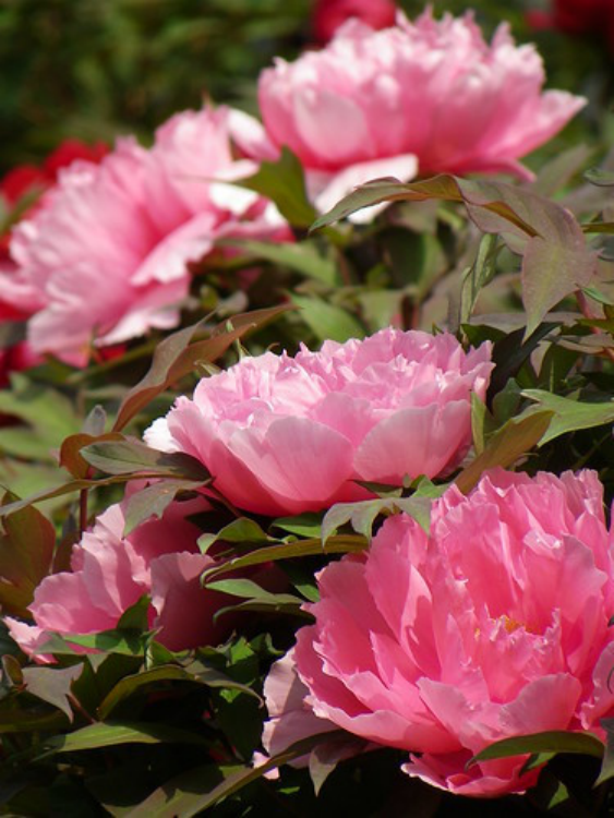 f:id:keepr:20200124171638p:plain f:id:keepr:20200124171638p:plain