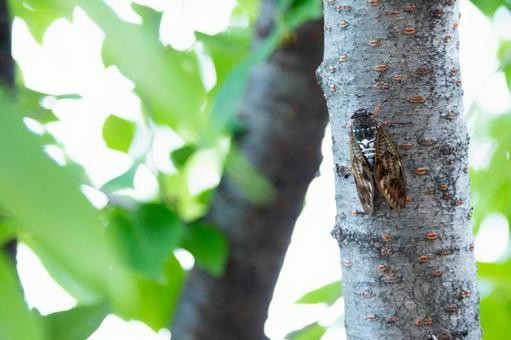 f:id:keepr:20210823111813j:image f:id:keepr:20210823111813j:image