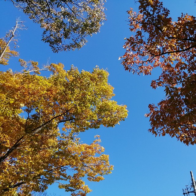 f:id:keepr:20221103121554j:image