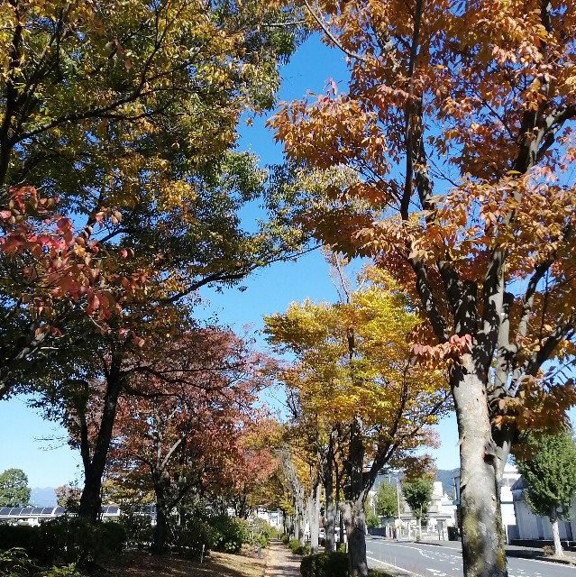 f:id:keepr:20221103121610j:image