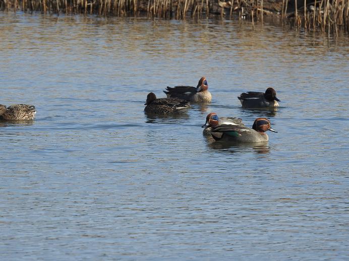 f:id:kees20:20200217170240p:plain f:id:kees20:20200217170240p:plain