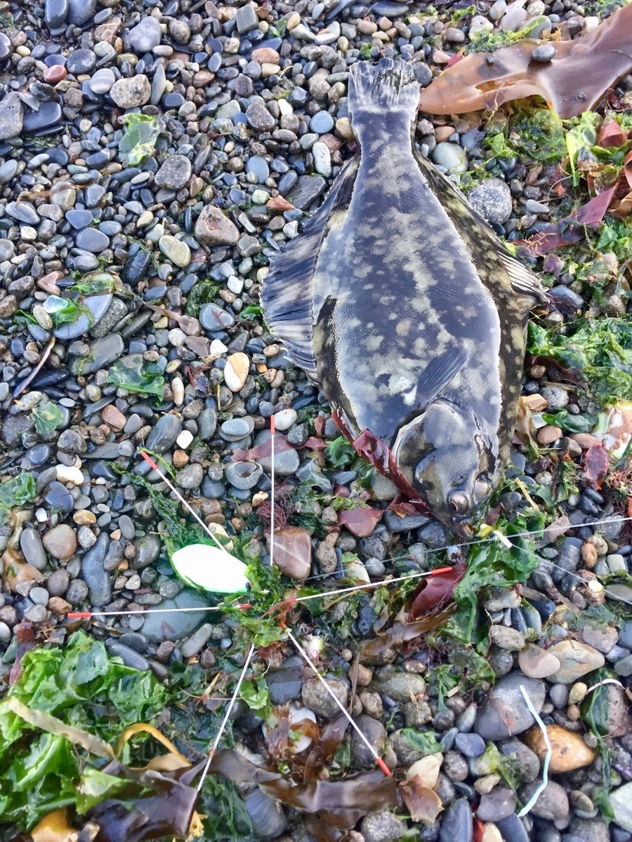 f:id:keeton:20190506084345j:plain f:id:keeton:20190506084345j:plain