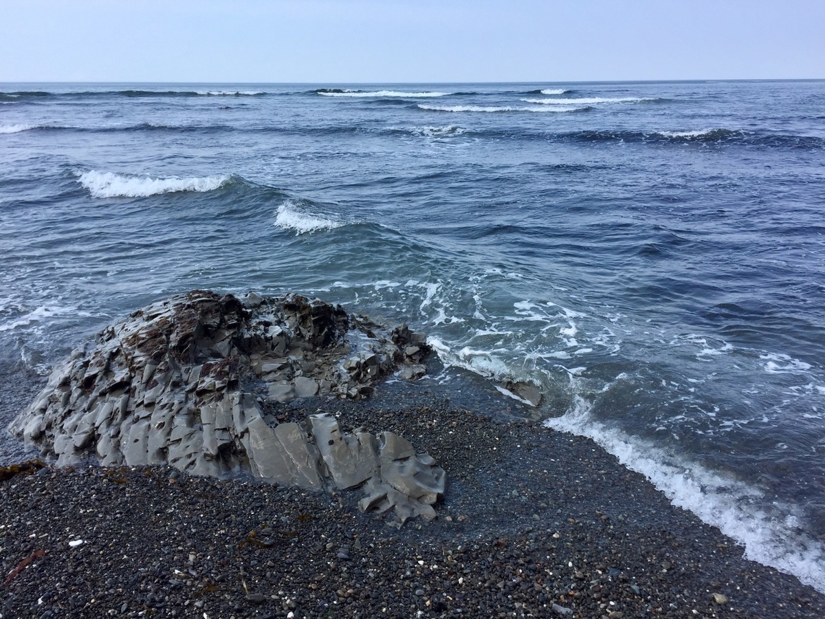 f:id:keeton:20190513002114j:plain f:id:keeton:20190513002114j:plain