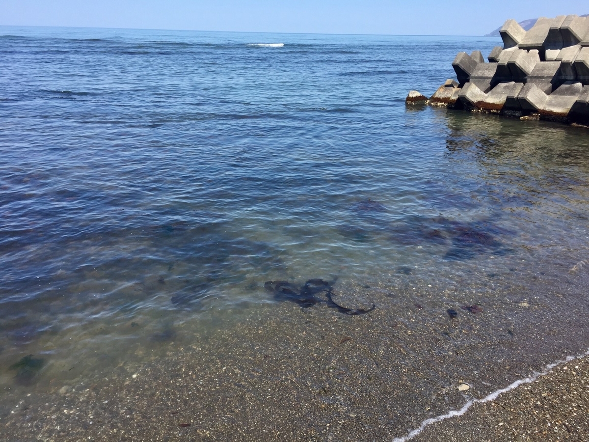 f:id:keeton:20190513002736j:plain f:id:keeton:20190513002736j:plain