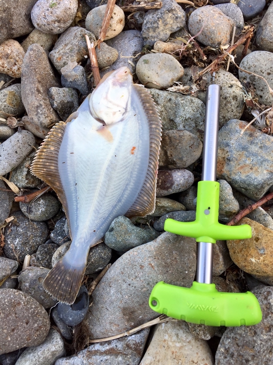 f:id:keeton:20190526221913j:plain f:id:keeton:20190526221913j:plain