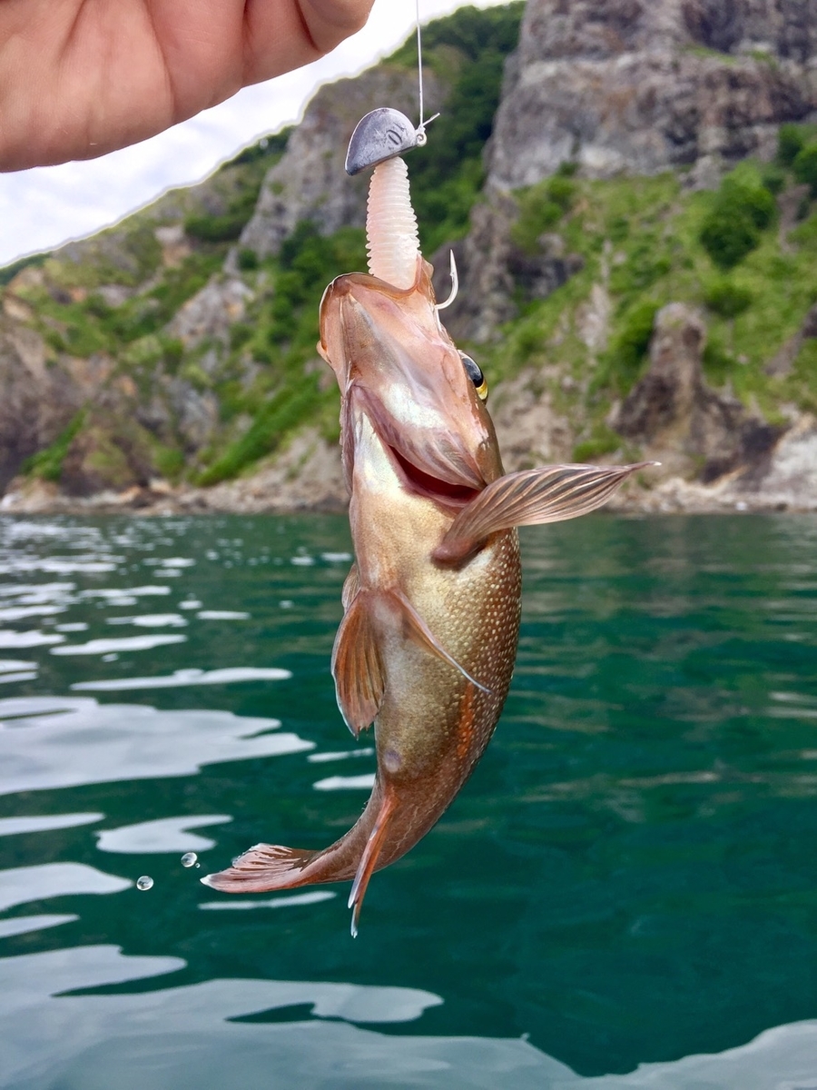 f:id:keeton:20190717001707j:plain f:id:keeton:20190717001707j:plain