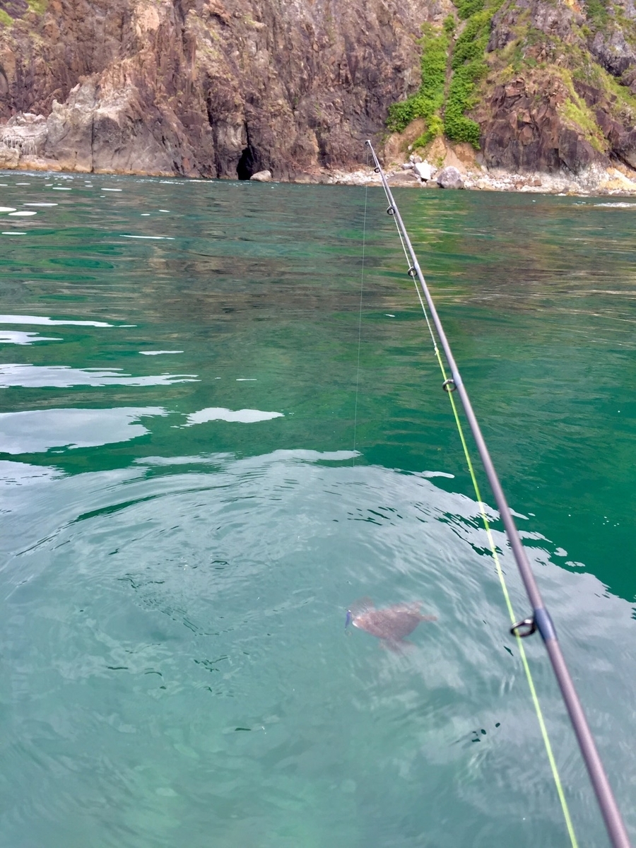 f:id:keeton:20190717005732j:plain f:id:keeton:20190717005732j:plain