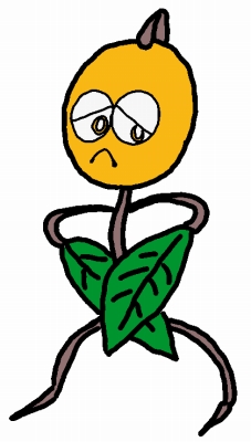 f:id:kefugahi:20190703071851j:plain