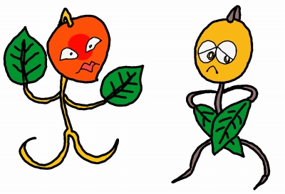 f:id:kefugahi:20190703071900j:plain f:id:kefugahi:20190703071900j:plain