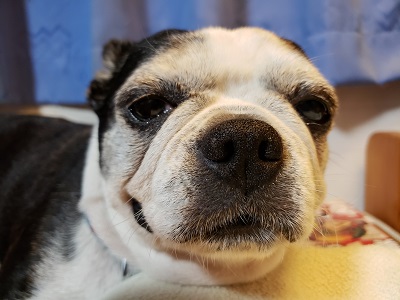 f:id:kefugahi:20191021081256j:plain f:id:kefugahi:20191021081256j:plain