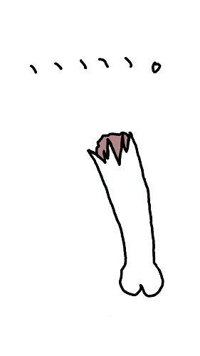 f:id:kefugahi:20200129120204p:plain