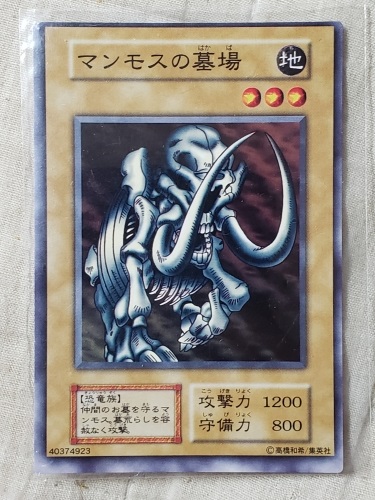 遊戯王デュエルモンスターズ げんこつやま 庶民グルメからオタク記事まで マスコット達がワイワイやるブログ