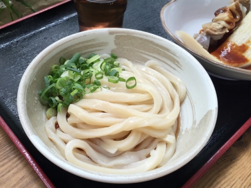 f:id:kefugahi:20201017183935j:plain