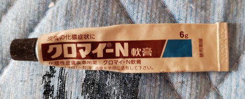 f:id:kefugahi:20201105151725j:plain f:id:kefugahi:20201105151725j:plain