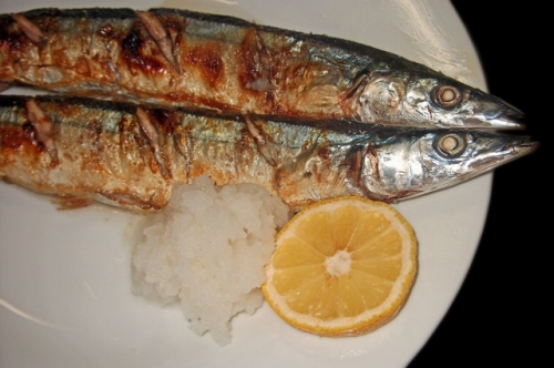 f:id:kefugahi:20201121084806j:plain